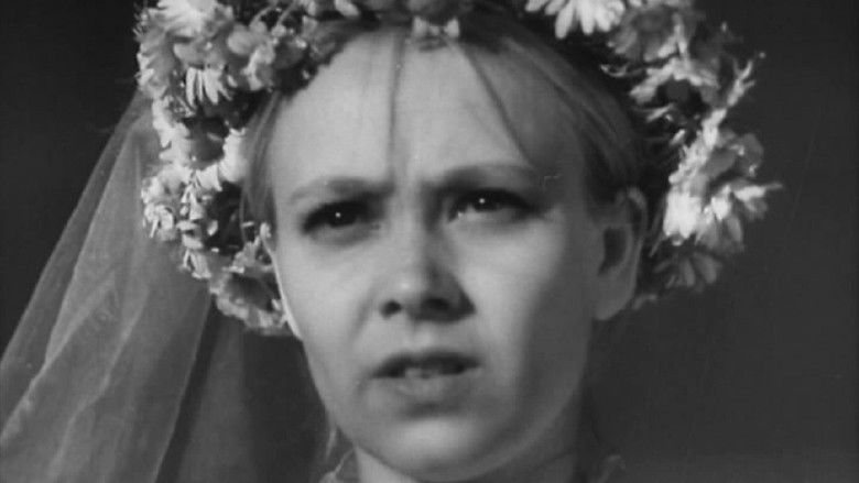 кадр из фильма Драма в цирюльне