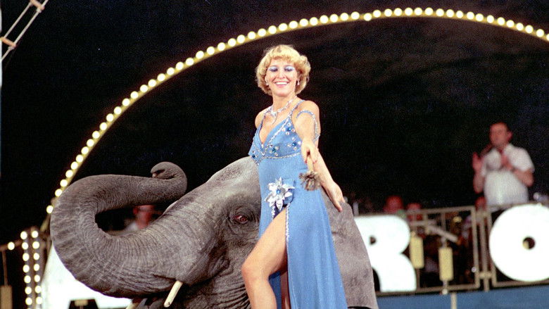 кадр из фильма Cirkus na zelené louce