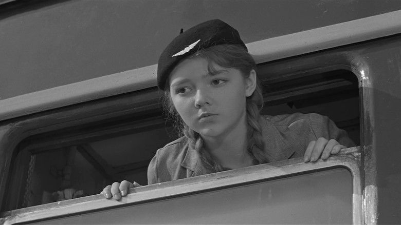 кадр из фильма Ко мне, Мухтар!