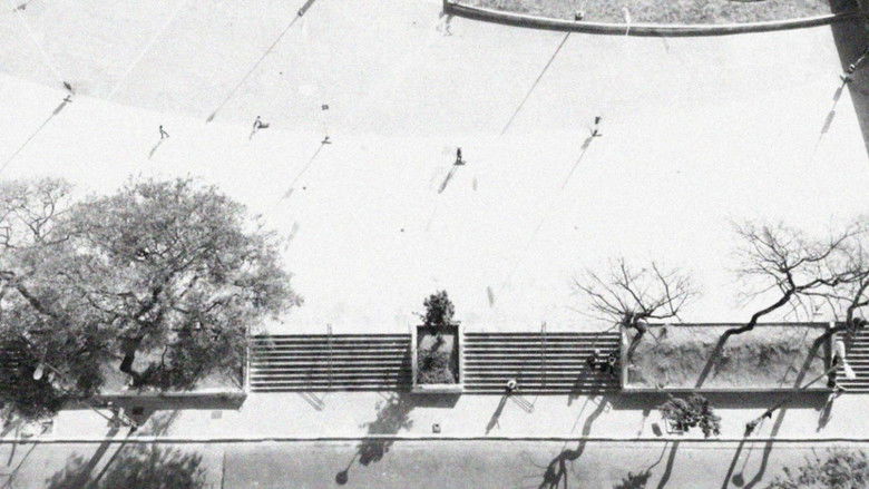 кадр из фильма Onde é Aqui?