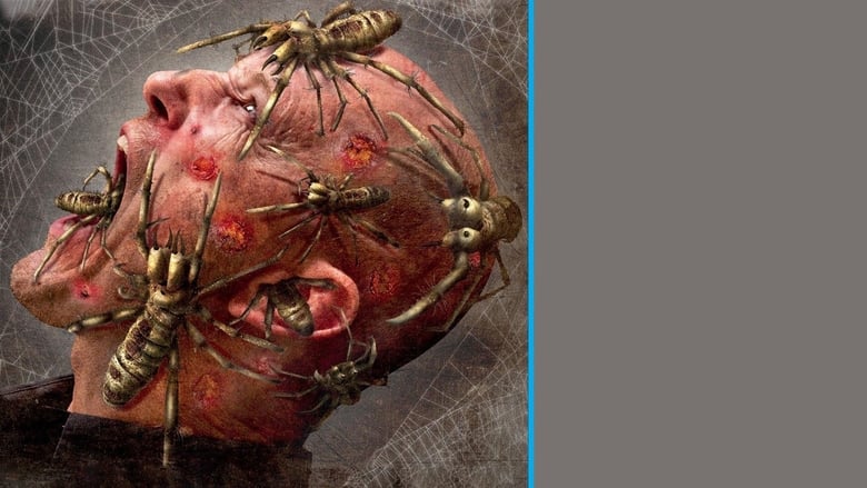 кадр из фильма Верблюжьи пауки