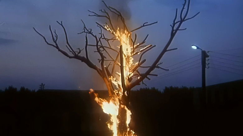 кадр из фильма Беспредел