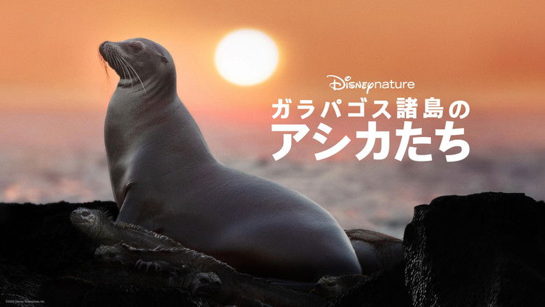 кадр из фильма Sea Lions of the Galapagos