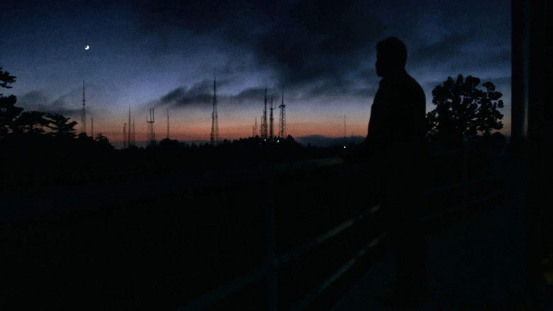 кадр из фильма Chasing Einstein