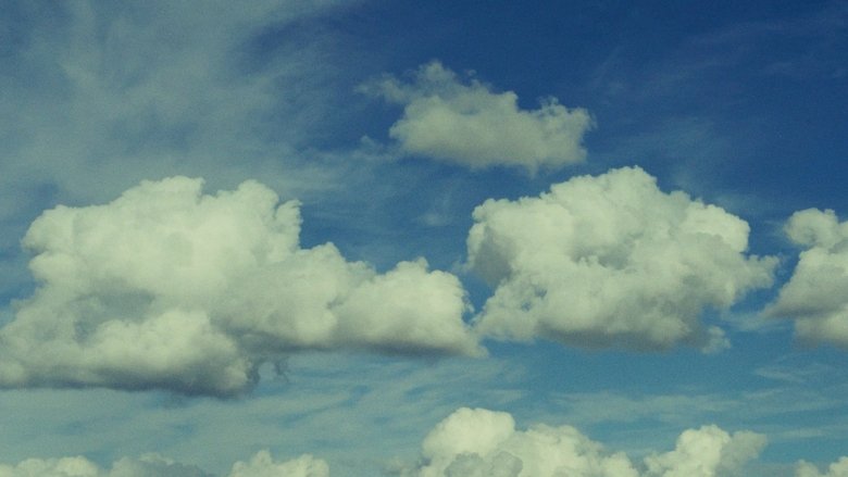 кадр из фильма Live a Little