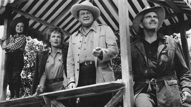 кадр из фильма Thunderhead: Son of Flicka