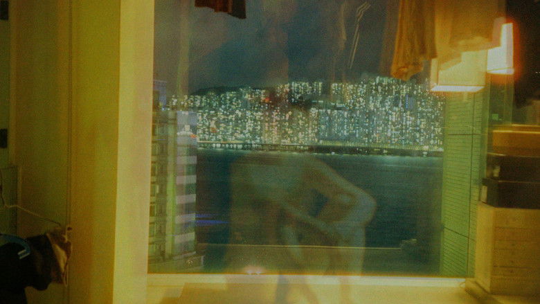 кадр из фильма typhoon diary 风球日记