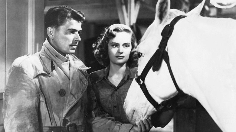 кадр из фильма Stallion Road