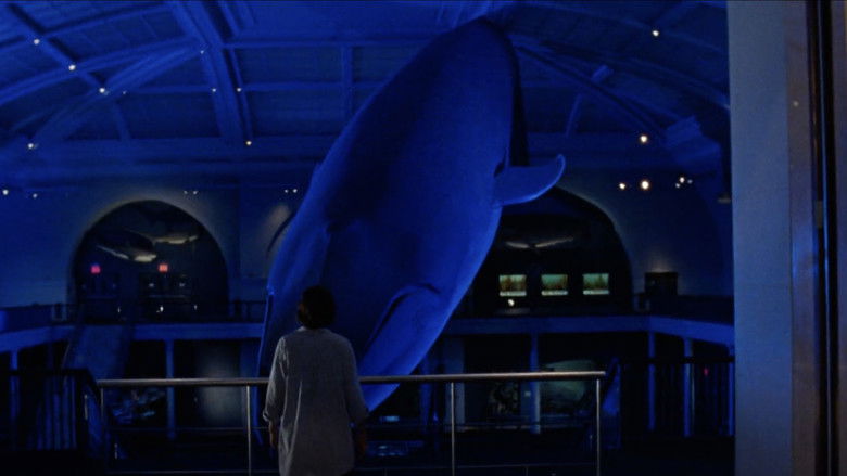 кадр из фильма Кальмар и кит