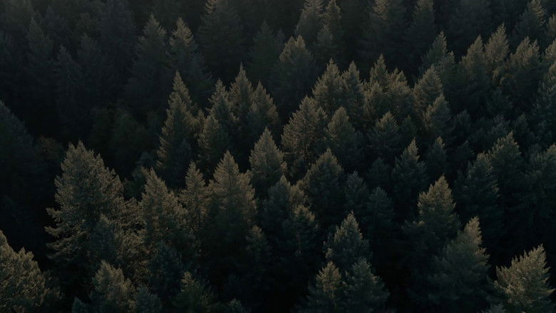 кадр из фильма Свинья