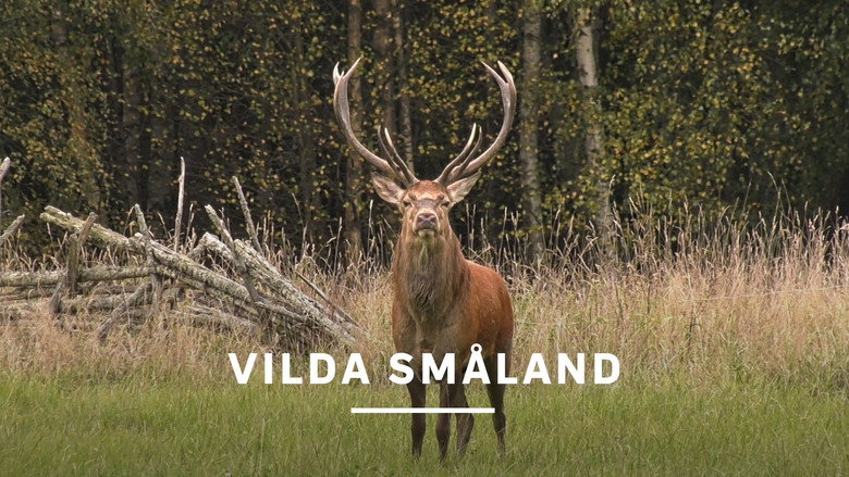 кадр из фильма Vilda Småland
