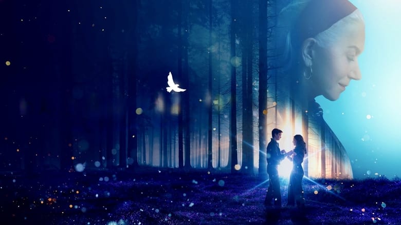 кадр из фильма Белая птица: Новое чудо