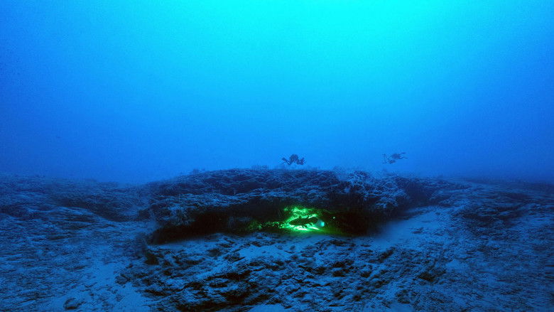 кадр из фильма Mission Gombessa - Die Jagd nach dem Methusalem der Meere