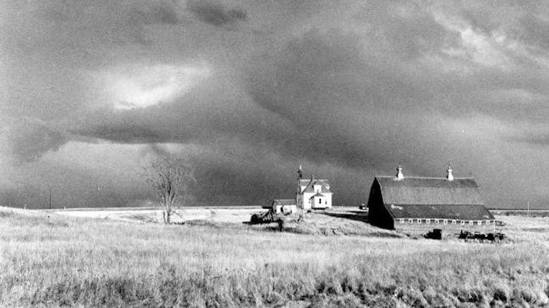 кадр из фильма Northern Lights