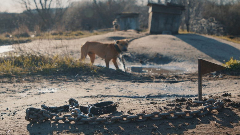 кадр из фильма У пошуках Ніки