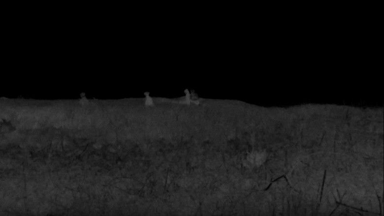 кадр из фильма Nightwalk