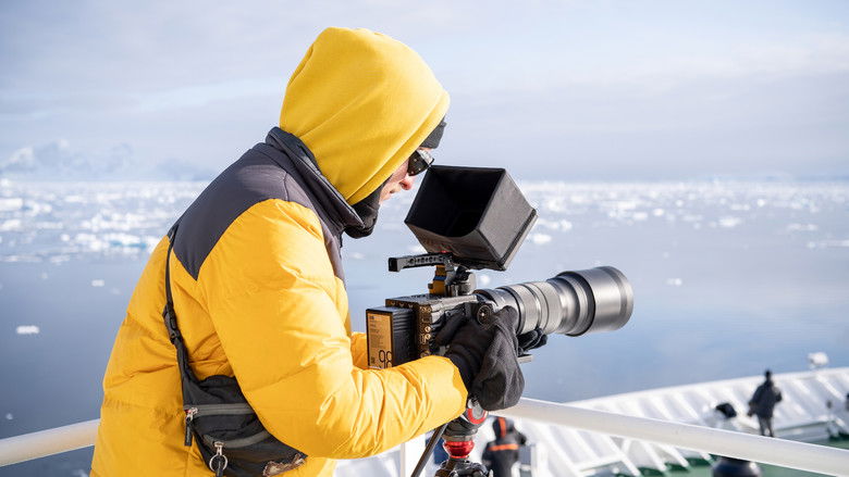 кадр из фильма Sounds of the South