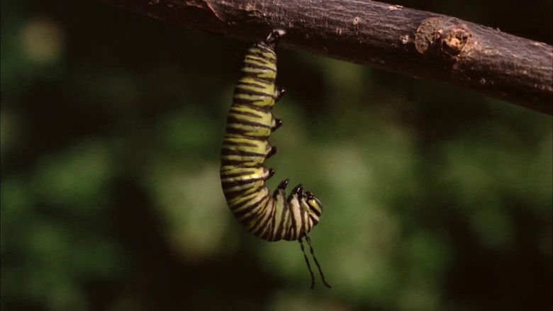 кадр из фильма Don't