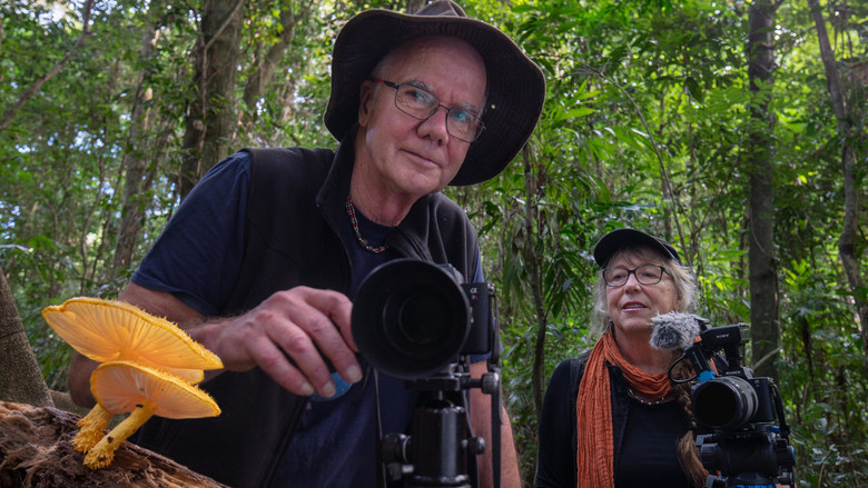 кадр из фильма Follow the Rain