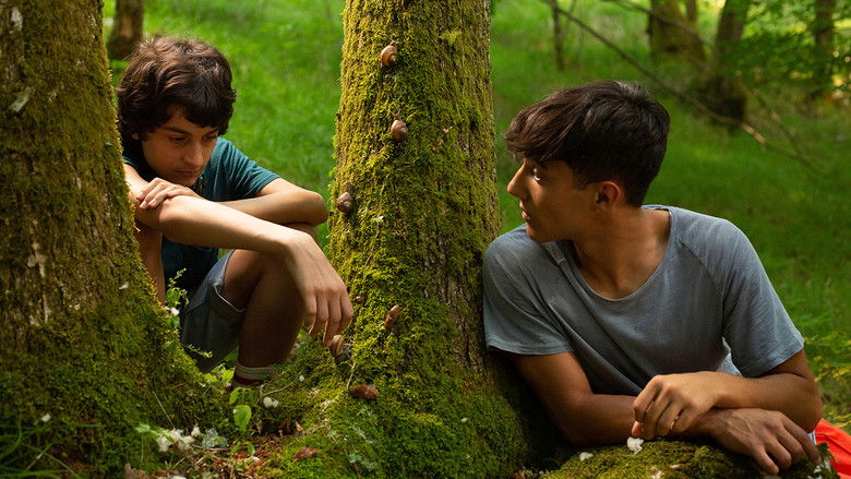 кадр из фильма Come le lumache