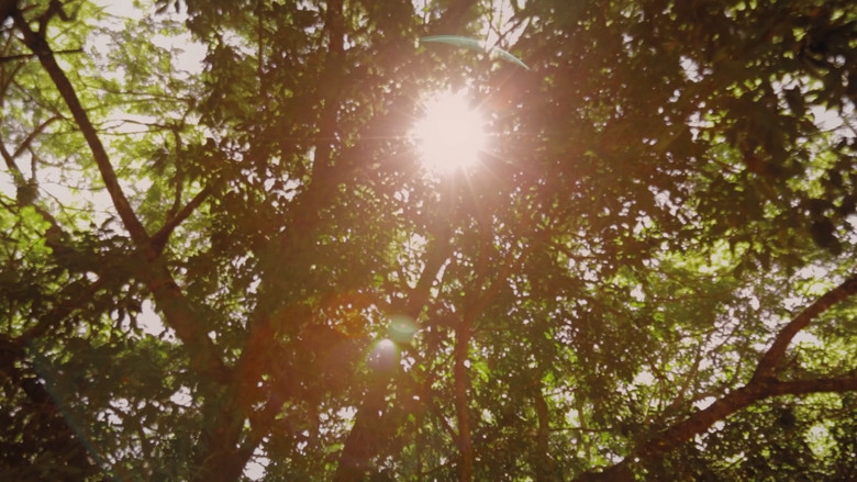 кадр из фильма Criadores de Saci