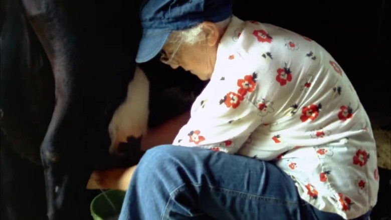 кадр из фильма Forever Young