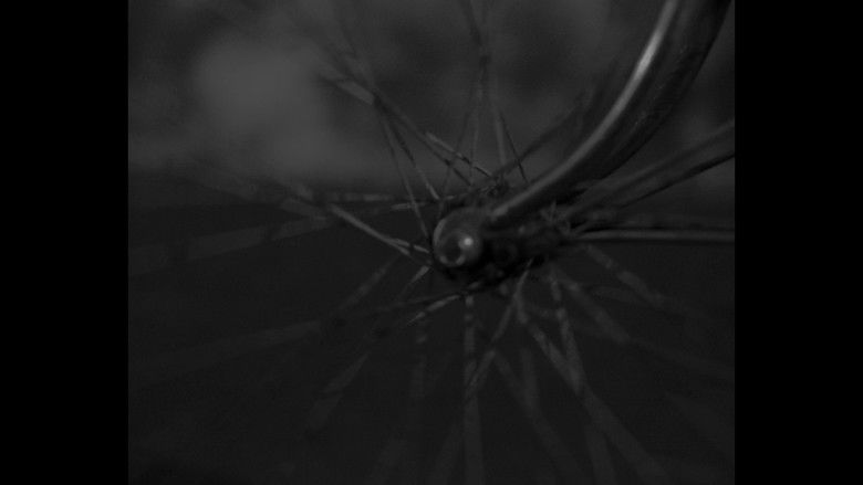 кадр из фильма Savana