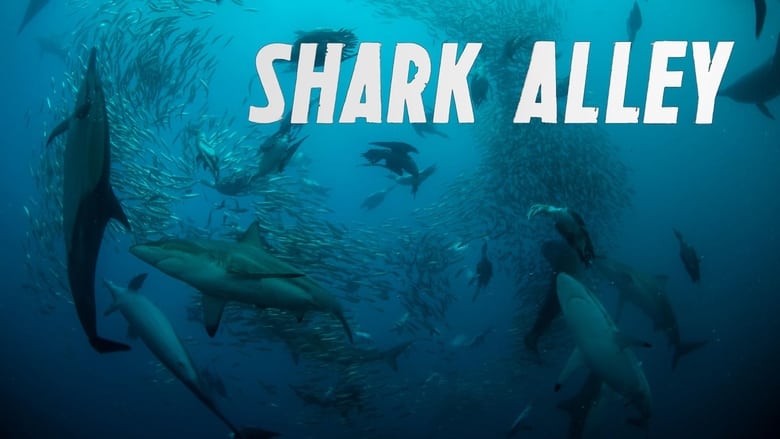 кадр из фильма Shark Alley