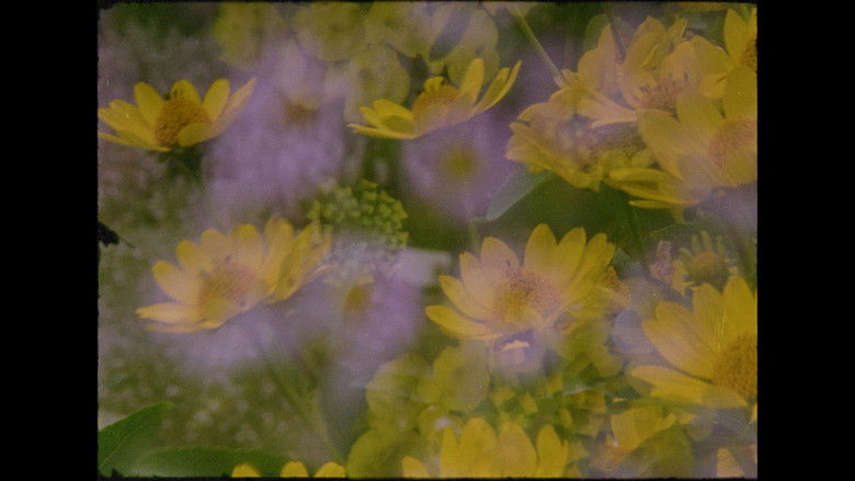 кадр из фильма Ahora y en la hora de nuestra muerte