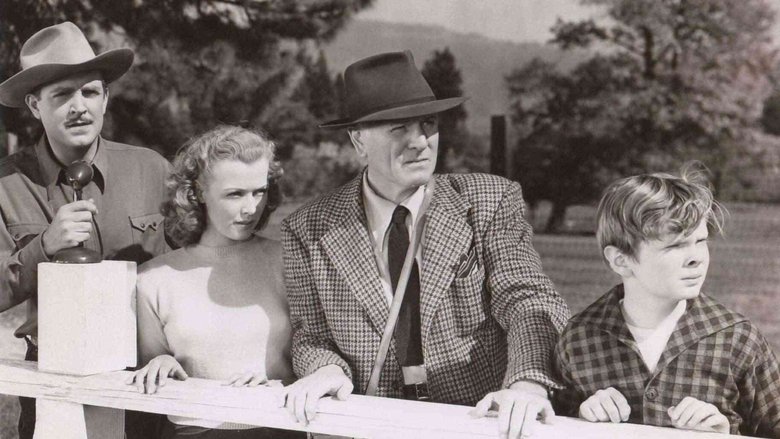 кадр из фильма The Red Stallion