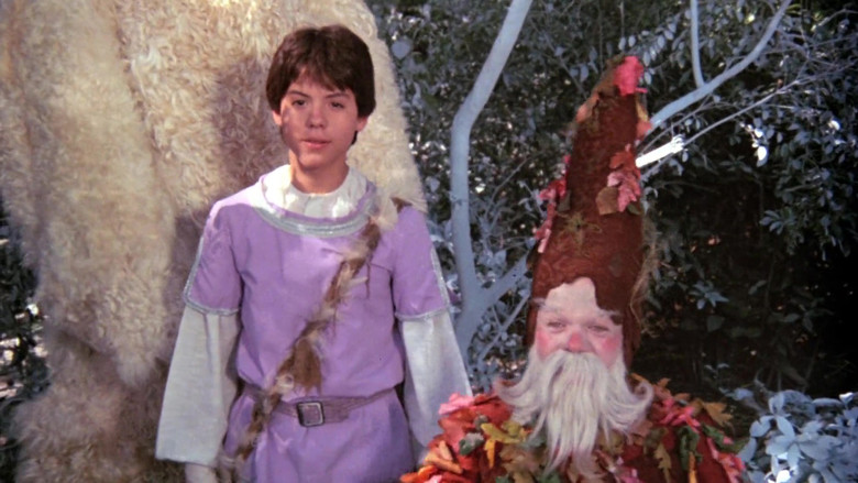 кадр из фильма Wizards of the Lost Kingdom