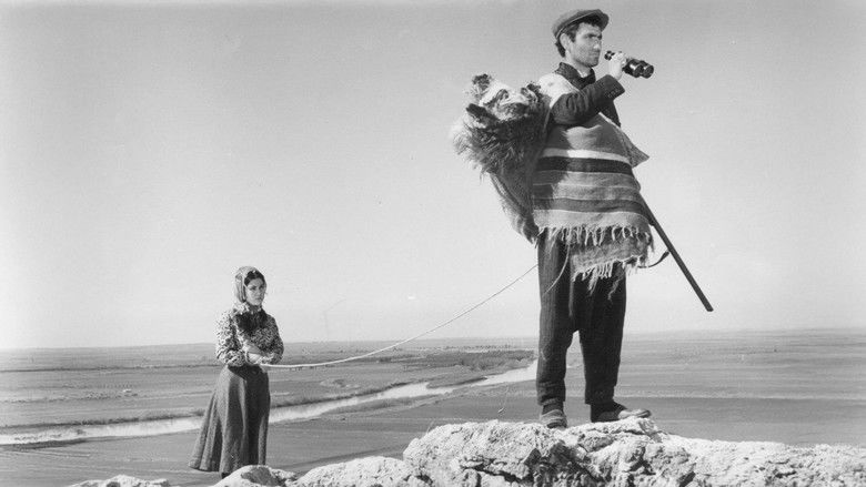 кадр из фильма İnce Cumali