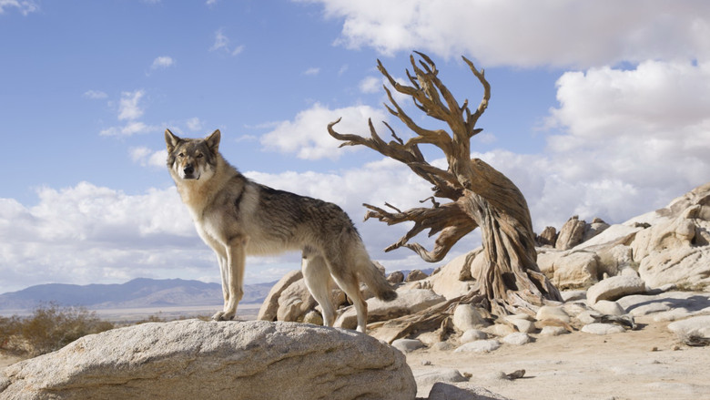 кадр из фильма Альфа