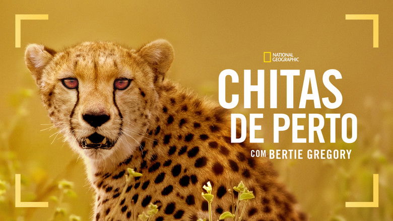 кадр из фильма Гепарды: лицом к лицу с Берти Грегори