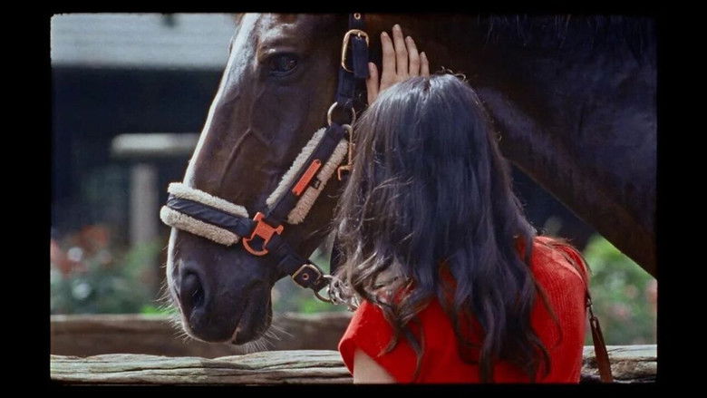 кадр из фильма Piaffe