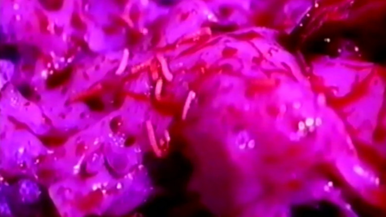 кадр из фильма Ataraxia