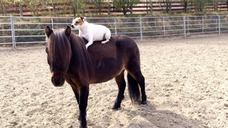 кадр из фильма Приключения Долли и Спанки