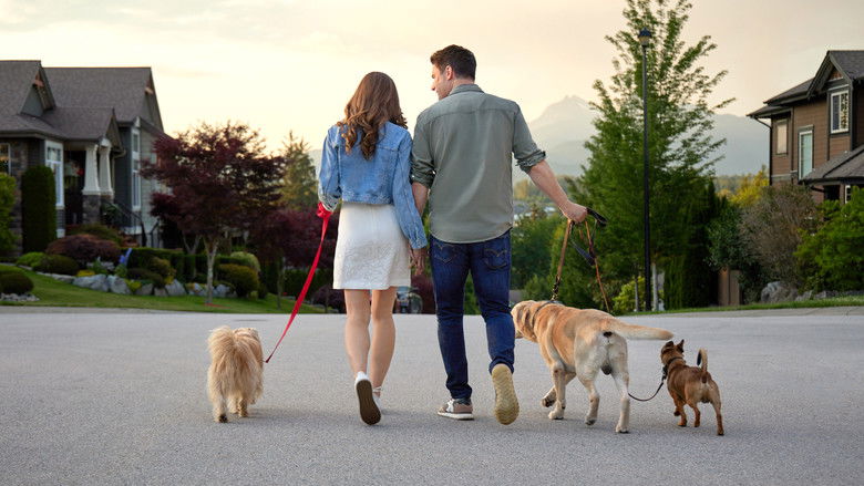 кадр из фильма The More Love Grows