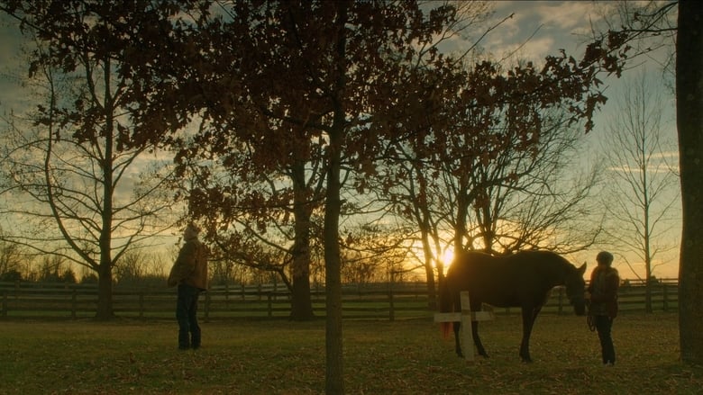 кадр из фильма Orphan Horse
