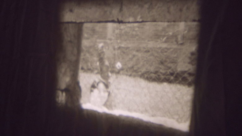 кадр из фильма Ecos