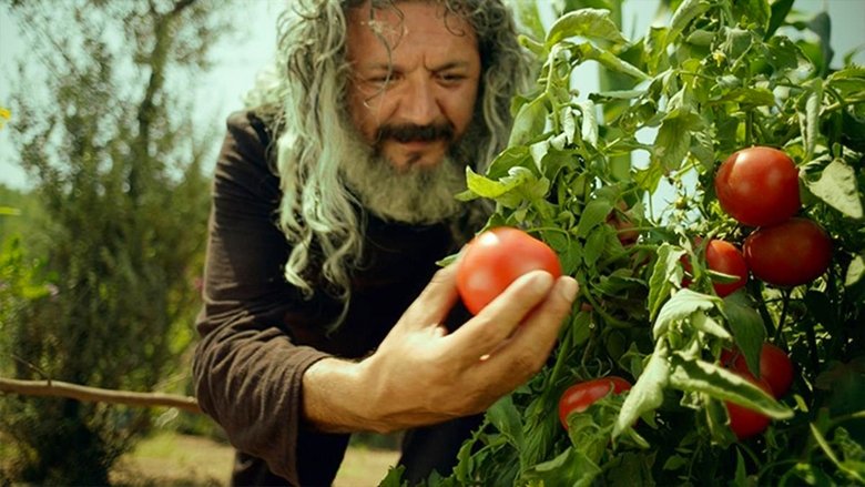 кадр из фильма Mandıra Filozofu