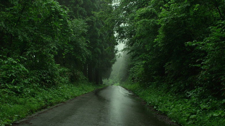 кадр из фильма Маленький лес. Лето, осень