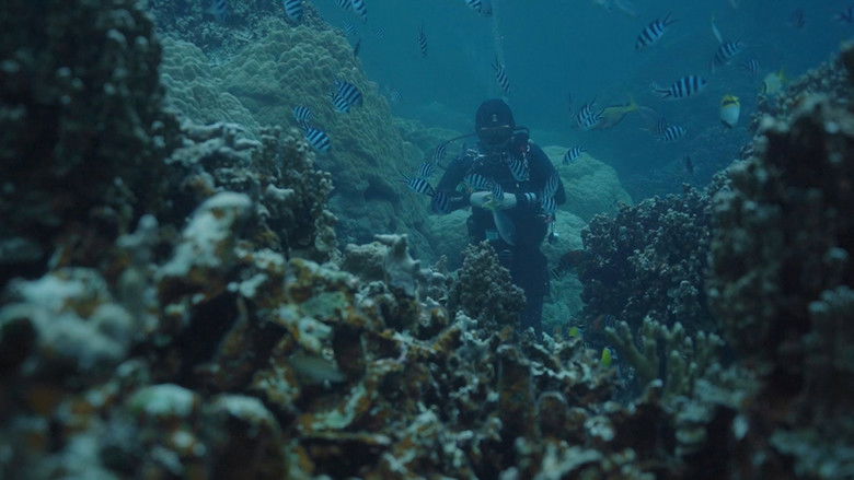 кадр из фильма 더 영 맨 앤드 더 딥 씨 (비투비 임현식)