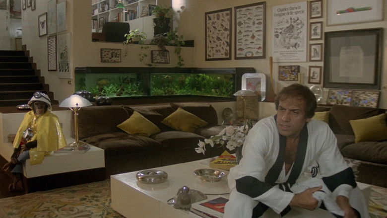 кадр из фильма Бинго-Бонго