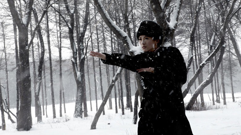 кадр из фильма Великий мастер