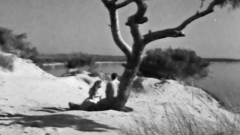 кадр из фильма Έρωτας Στους Αμμόλοφους
