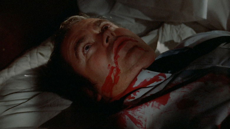 кадр из фильма Lisa, Lisa