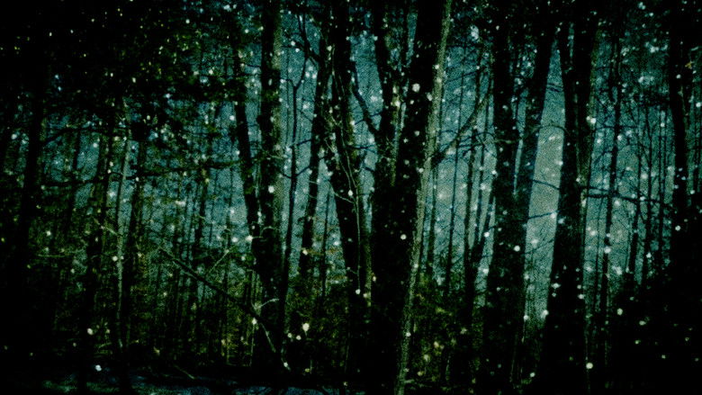 кадр из фильма Falling Star