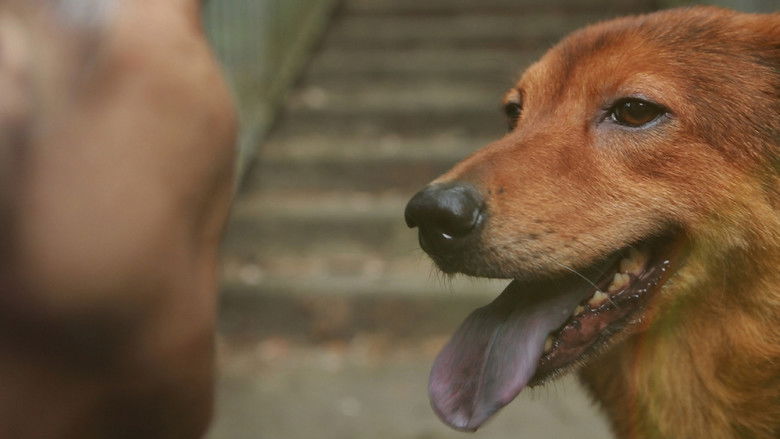 кадр из фильма 我愛口水堅