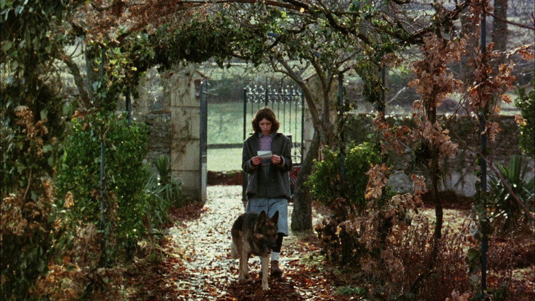 кадр из фильма Юг